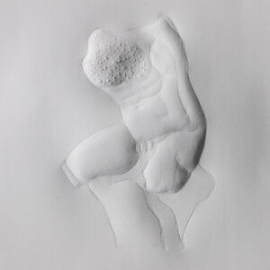 Torso
