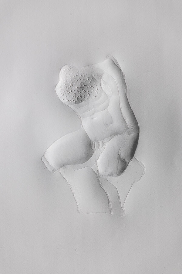 Torso